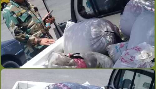 محموله آویشن غیرمجاز در جنوب کرمان توقیف شد